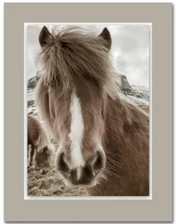 Acrylglasbild ALUDIBOND