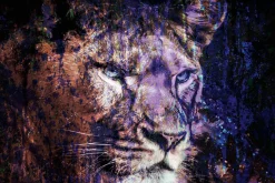 Acrylglasbild LÖWE IN BLAU