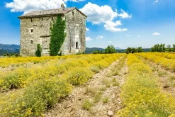 Akustikbild BAUERNHAUS