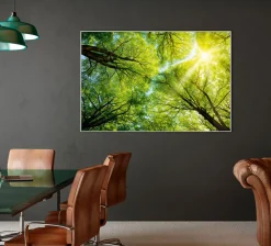 Akustikbild BAUMKRONE 3