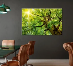 Akustikbild BAUMKRONE 2