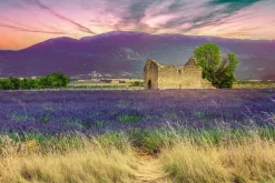 Akustikbild LAVENDELFELD 9