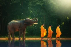 Akustikbild MÖNCHWANDERUNG