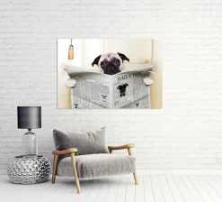 Akustikbild MOPS MIT ZEITUNG