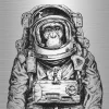 Aludibondbild ASTRONAUT II