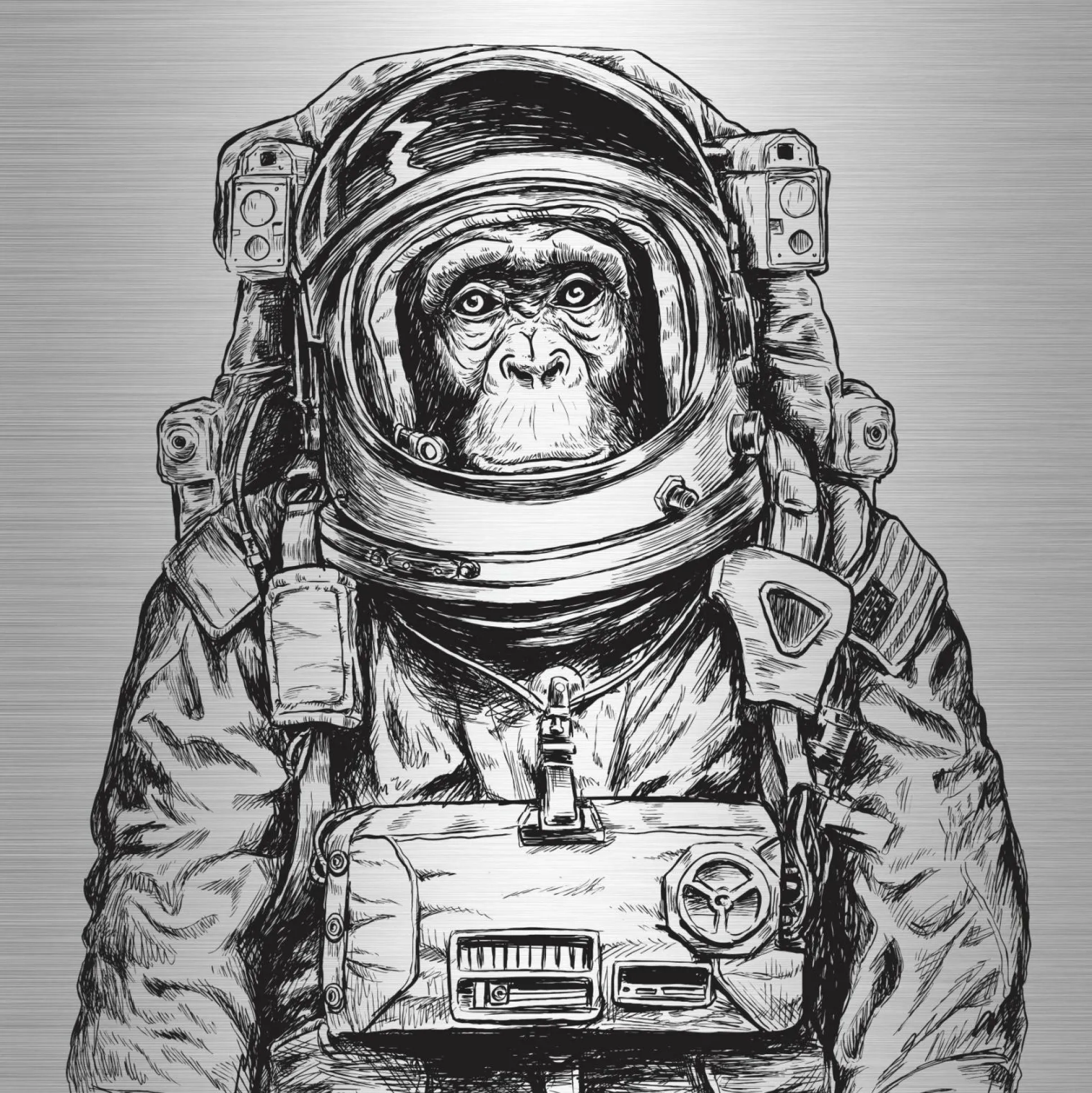 Aludibondbild ASTRONAUT II