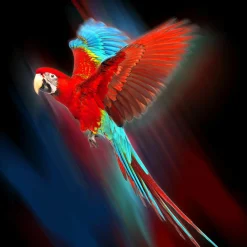 Aludibondbild SPECIAL RED