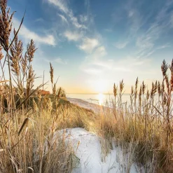 Aludibondbild WILDERSTRAND