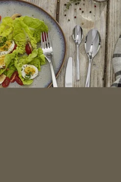 Besteckgarnitur ZWILLING ALBANY