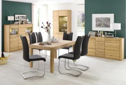 Freischwinger ATOS 1