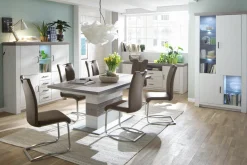 Freischwinger ATOS 1