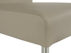 Freischwinger SERENA