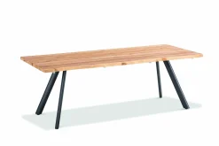Gartentisch Solid