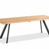 Gartentisch SOLID