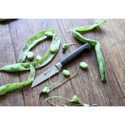 Gemüsemesser ZWILLING VIER STERNE