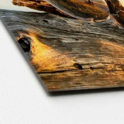 Glasbild DROP ON WOOD