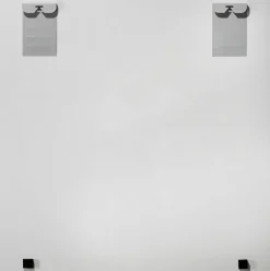 Glasbild KÖNIG DER LÖWERN