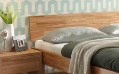 Holzbett HASENA FORTI