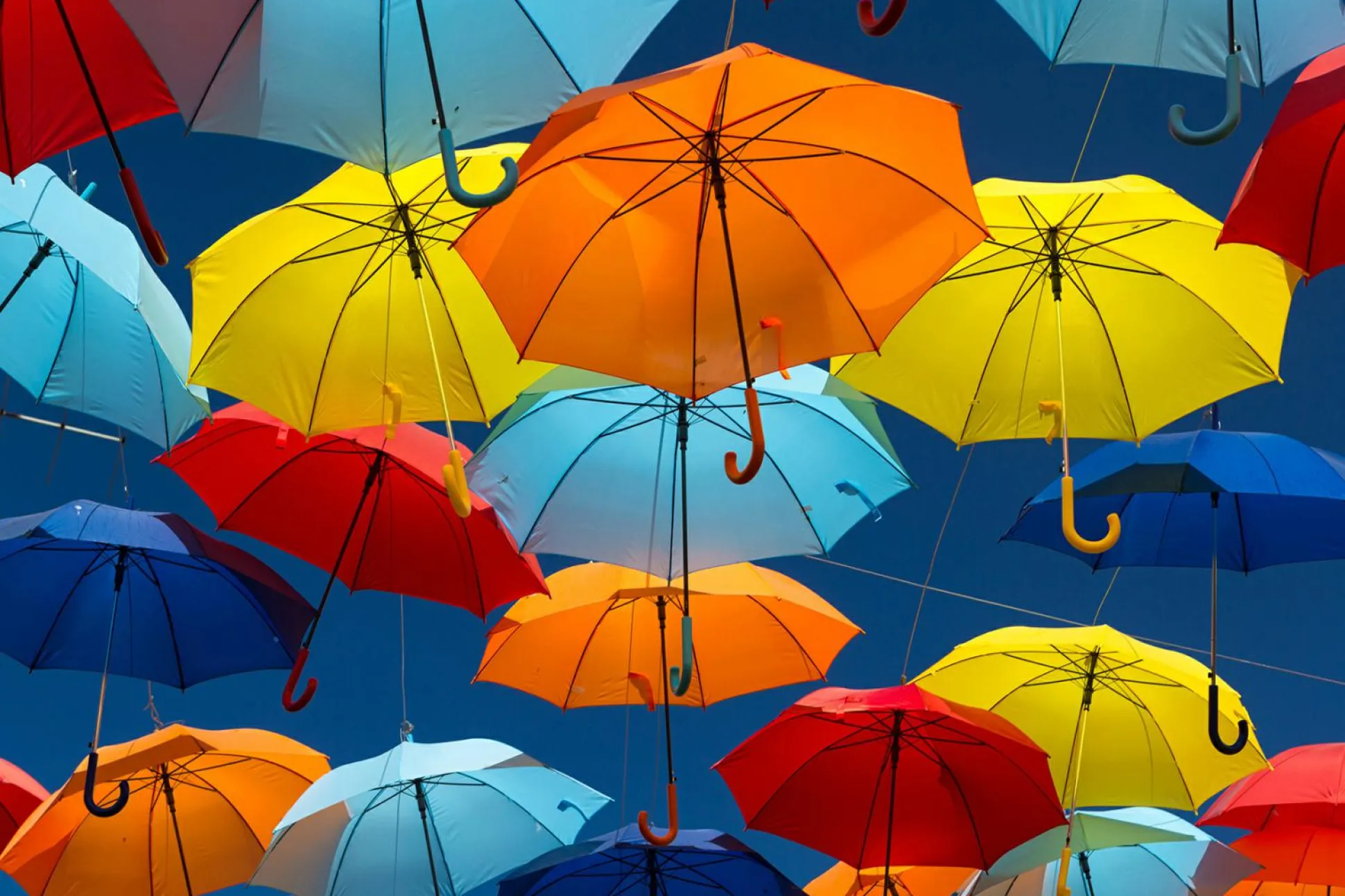 Keilrahmenbild COLORFUL World