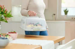 Kuchenaufbewahrungsbox