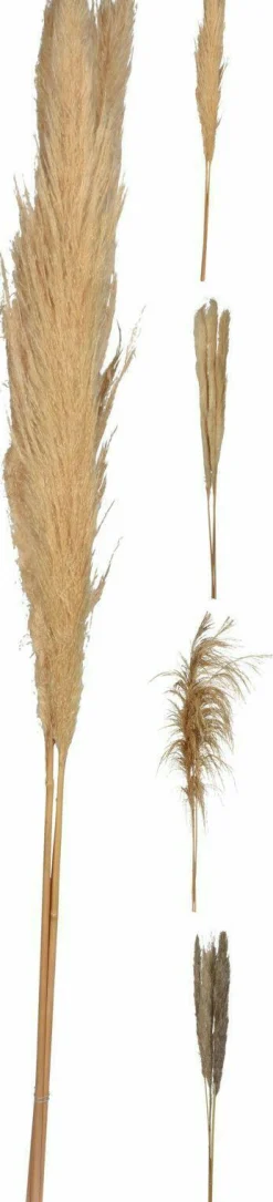 Kunstpflanze Pampasgras
