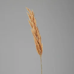 Kunstpflanze PAMPASWEDEL