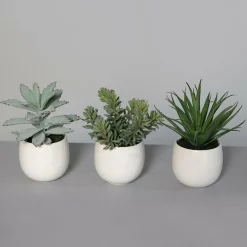 Kunstpflanze SUKKULENTE