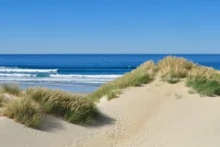 Leinwandbild DÜNEN AM MEER I