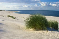 Leinwandbild STRAND DÜNENGRAS