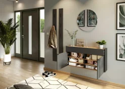 Mehrzweckschrank AMECA