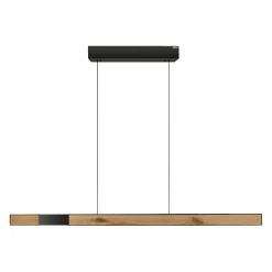 Pendelleuchte PURE MOTO-RISE