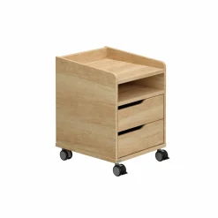 Rollcontainer PAIDI 2S