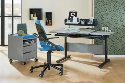 Rollcontainer PAIDI 2S