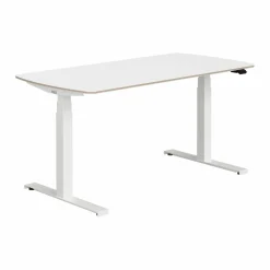 Schreibtisch PAIDI E-LION