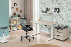 Schreibtisch PAIDI E-LION