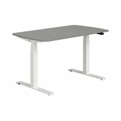 Schreibtisch PAIDI E-LION