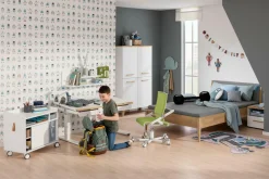 Schreibtisch PAIDI TEENIO 120