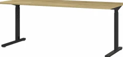 Schreibtisch PROFI 2.0