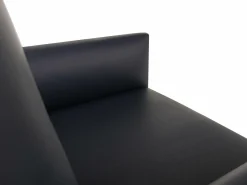 Sessel ROLF BENZ CARA