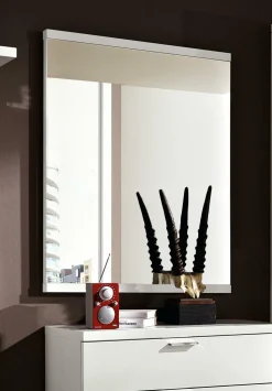 Spiegel arena AVANCE