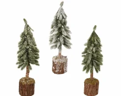 Tannenbaum