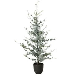 Tannenbaum KIEFER