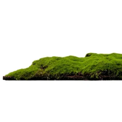 Wandpaneel MODULAR WALL