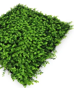 Wandpaneel MODULAR WALL