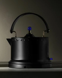 Wasserkocher bodum OTTONI