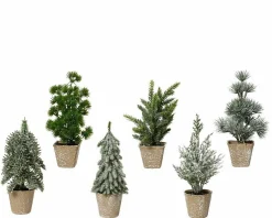 Weihnachtsbaum im Topf